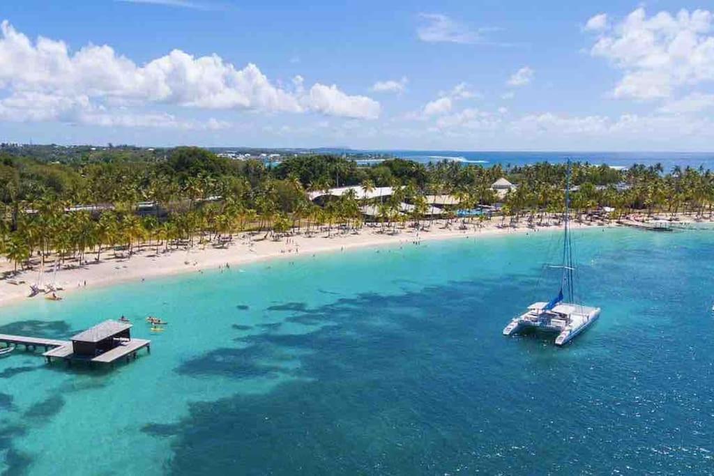 Le Sable Bleu - Evasion Tropicale A Sainte-Anne - Plage 5Min - Piscine - Parking - Logement Climatise - Vue Sur Les Palmiers - Parfait Pour Sejours En Famille Ou Entre Amis Экстерьер фото