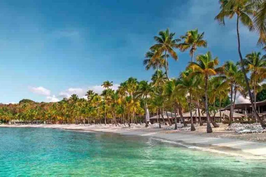 Le Sable Bleu - Evasion Tropicale A Sainte-Anne - Plage 5Min - Piscine - Parking - Logement Climatise - Vue Sur Les Palmiers - Parfait Pour Sejours En Famille Ou Entre Amis Экстерьер фото