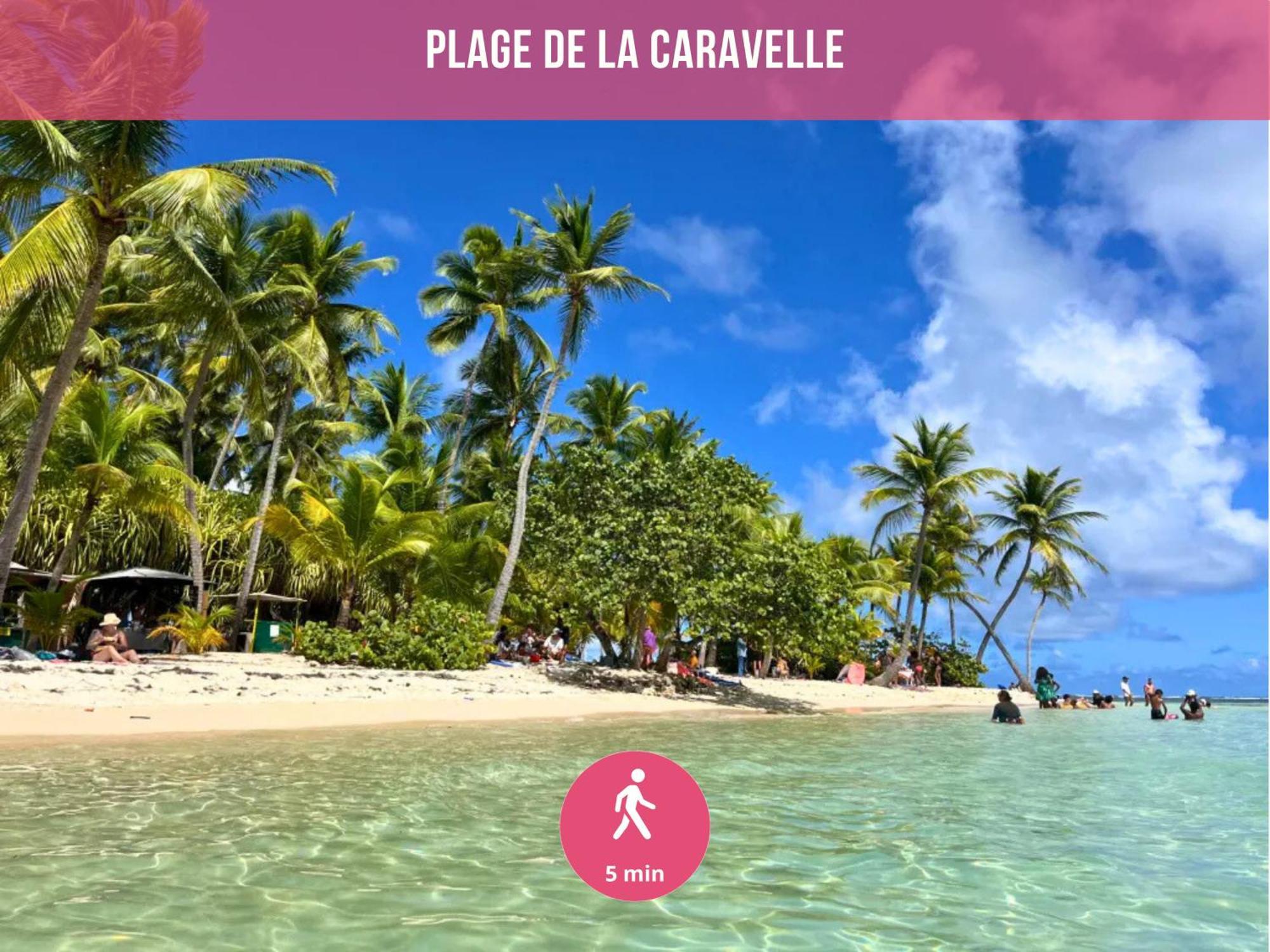 Le Sable Bleu - Evasion Tropicale A Sainte-Anne - Plage 5Min - Piscine - Parking - Logement Climatise - Vue Sur Les Palmiers - Parfait Pour Sejours En Famille Ou Entre Amis Экстерьер фото